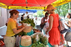Farms and farmers markets page link