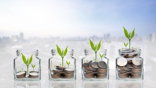 coins in jars with seedlings
